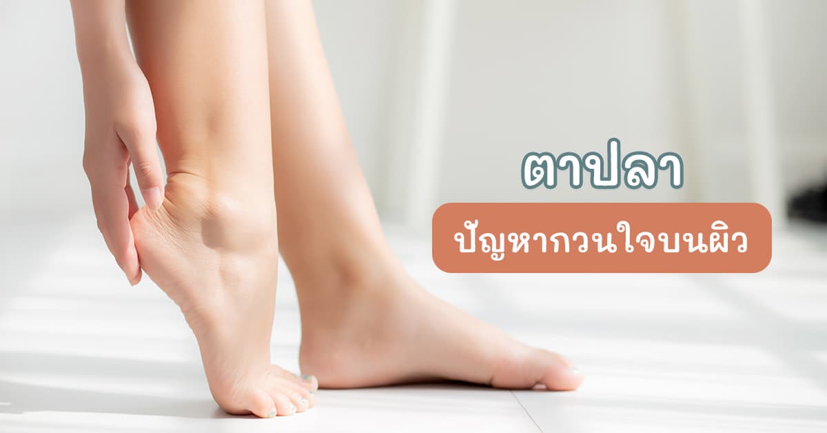 ตาปลา