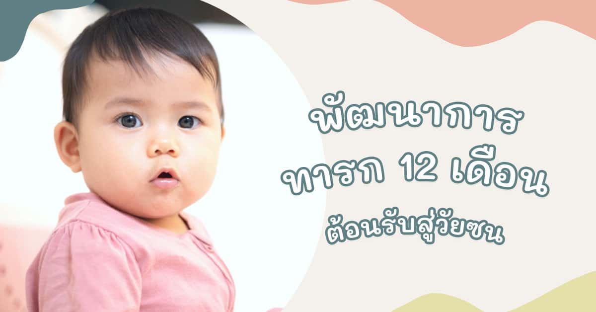 สรุปพัฒนาการทารก 12 เดือน