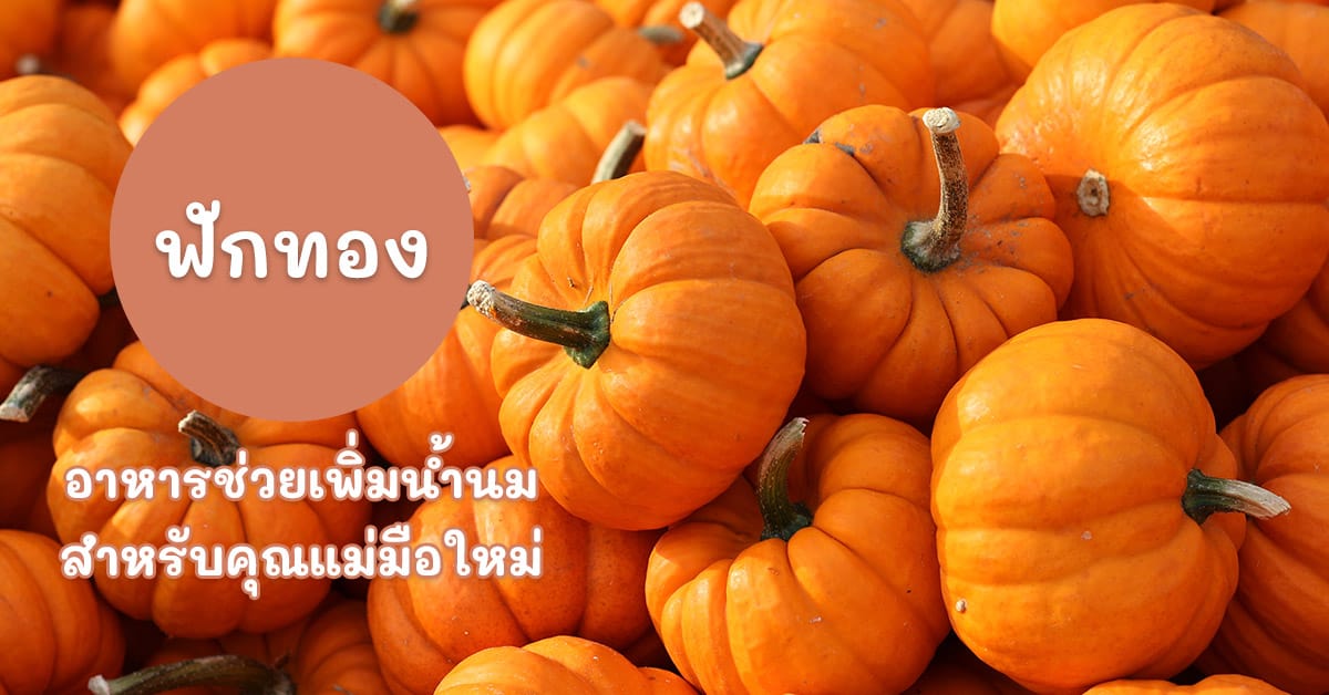 ฟักทอง