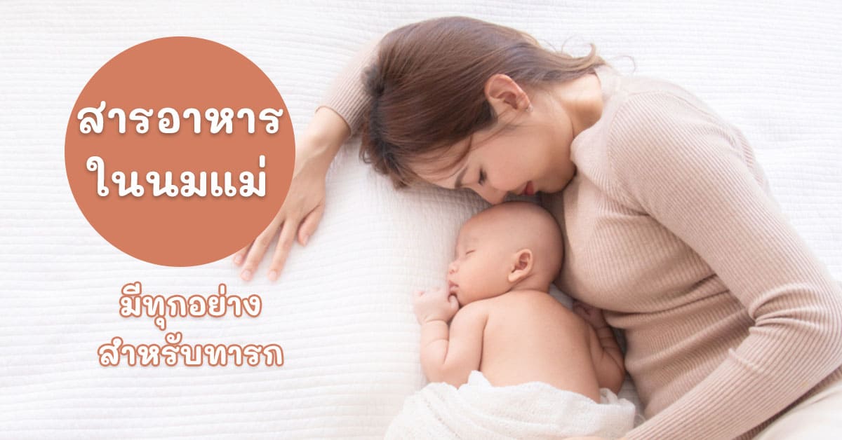 สารอาหารในนมแม่ 3