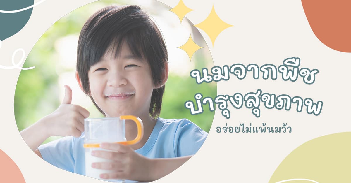 นมจากพืช