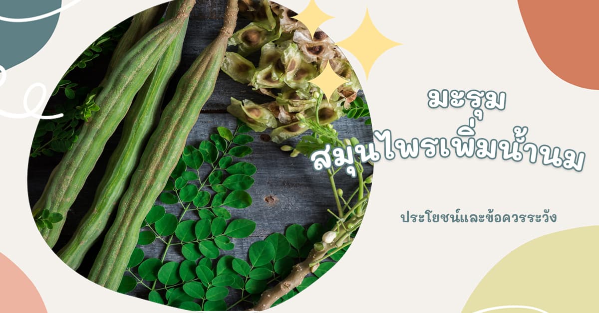 มะรุม