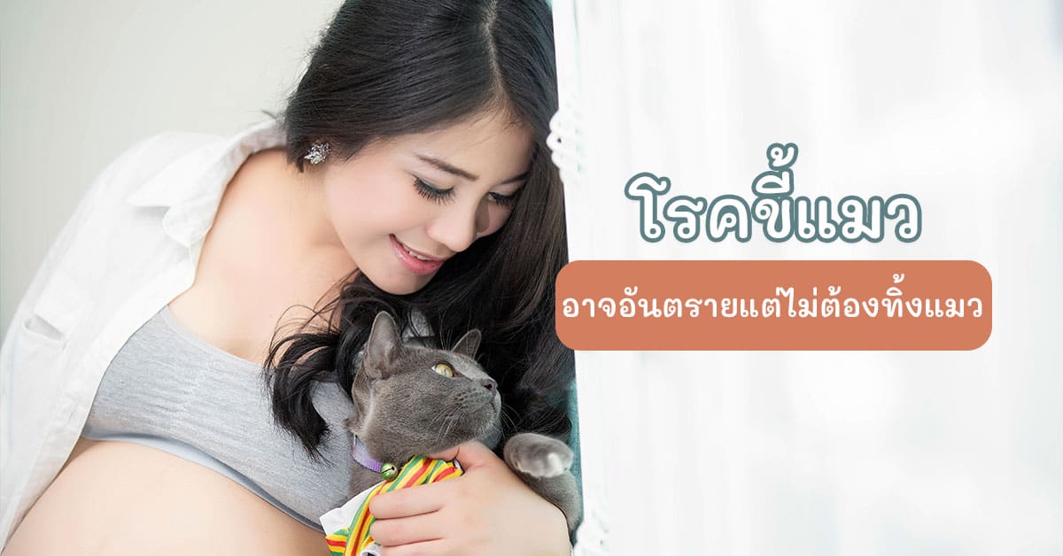 โรคขี้แมว