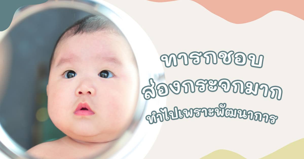 ทารกชอบส่องกระจก 3