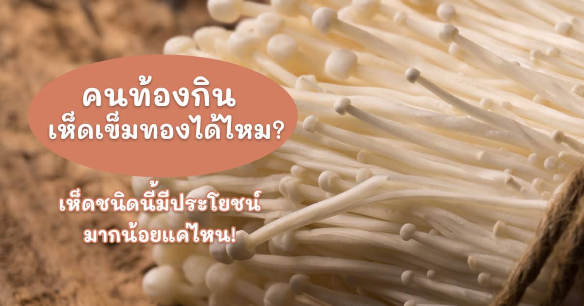 คนท้องกินเห็ดเข็มทองได้ไหม